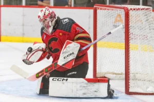 NHL Draft: Goalie-Specific Scouts Change The Landscape Of Predicting A Team's Future In Net
