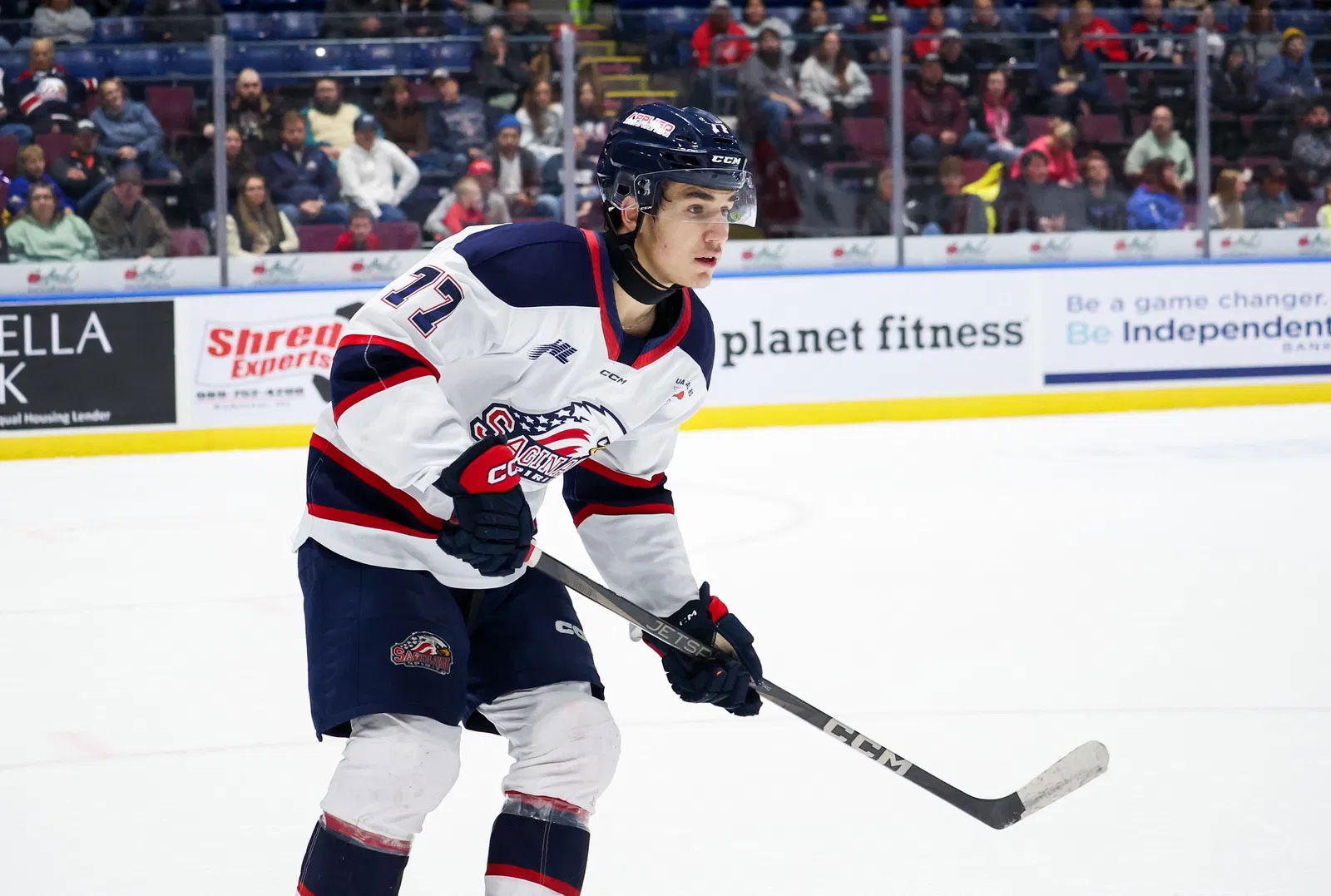 Sharks Could Be Eyeing Michael Misa With Second Overall Pick