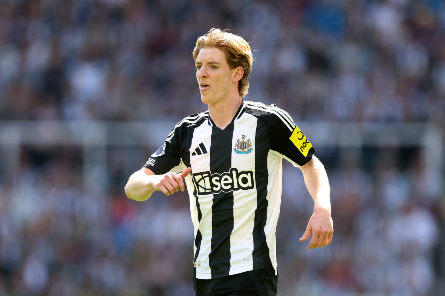 Liverpool have set their sights on this Newcastle United winger