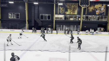 Golden Knights Development Camp Spotlight: Alexander Weiermair and Mateo Nobert