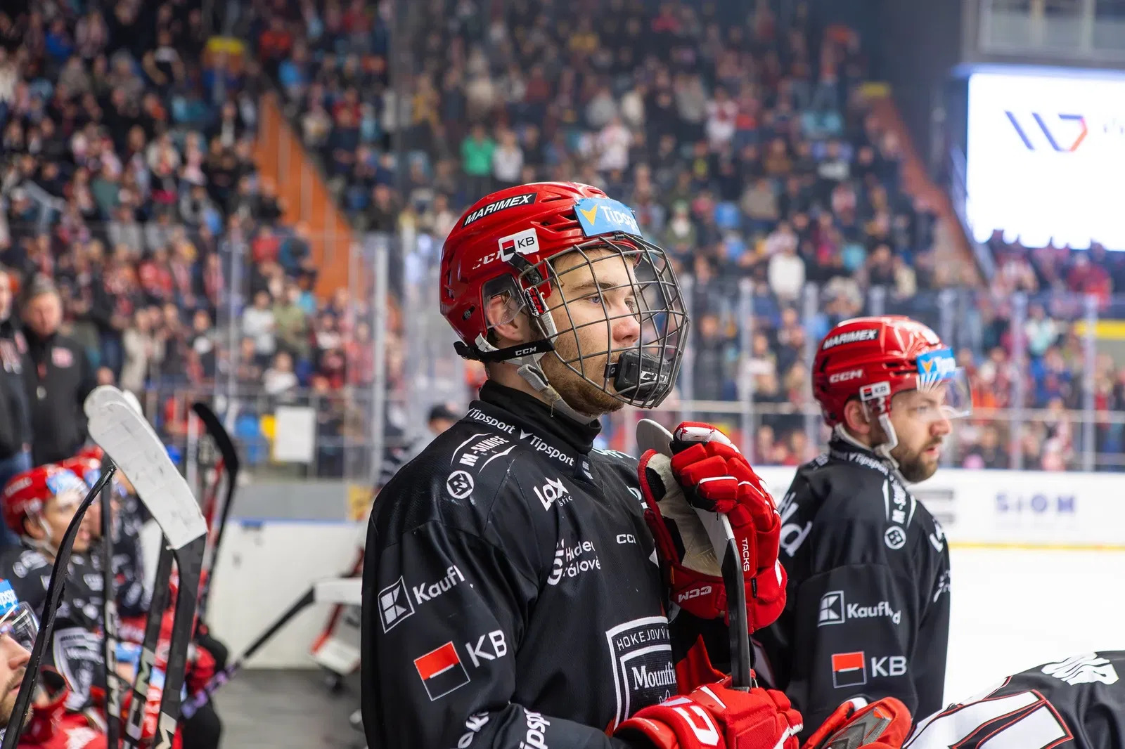 Czech Club Disappointed By Adam Novotný’s Decision To Go To OHL