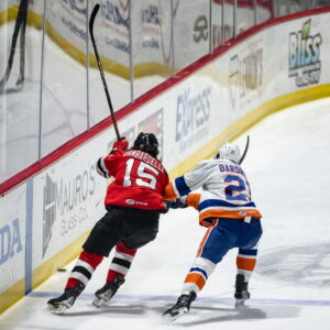 Former Bridgeport Islanders Forward Cole Bardreau Signs In Italy
