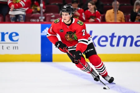 Nick Lardis Is Expected To Play Pro Hockey In 2025-26