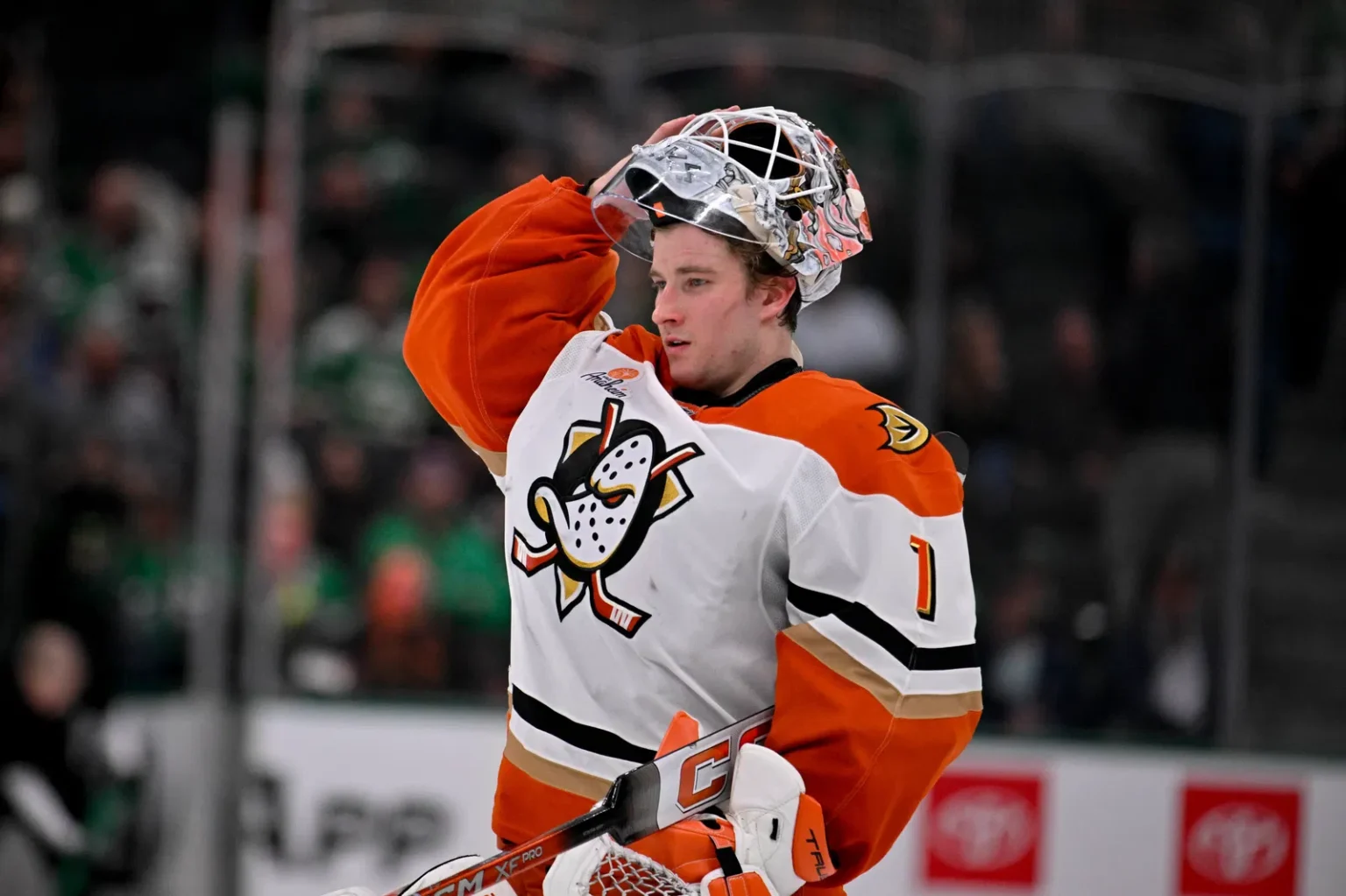Lukas Dostal: Increased Pressure, Journey from 'No-Name Goalie' to Paid Among NHL Elite