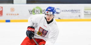 Kings 2nd-Round Draft Pick Contemplates Staying In Czechia Or Moving Overseas