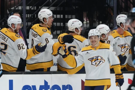 NHL Summer Splash Rankings: No. 23, Nashville Predators