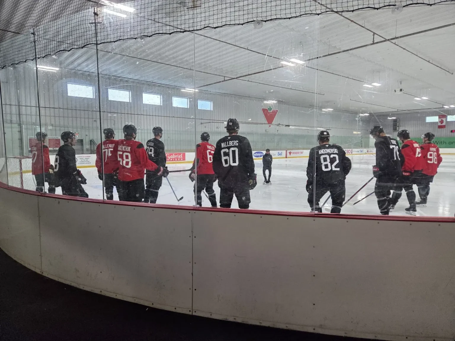 Size, Skill, and Standouts: Key Takeaways From Ottawa Senators Development Camp