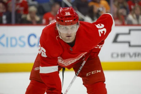 Former Red Wings Forward Christian Fischer Stuns With Decision To Retire