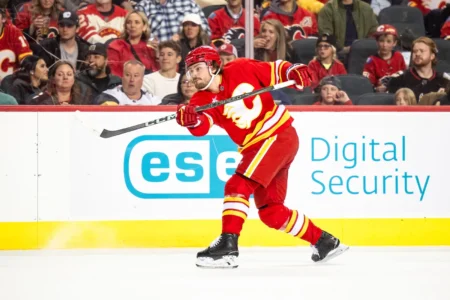 Potential Red Wings Defensive Trade Target: Rasmus Andersson
