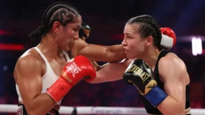 What kind of viewership did Katie Taylor-Amanda Serrano do?