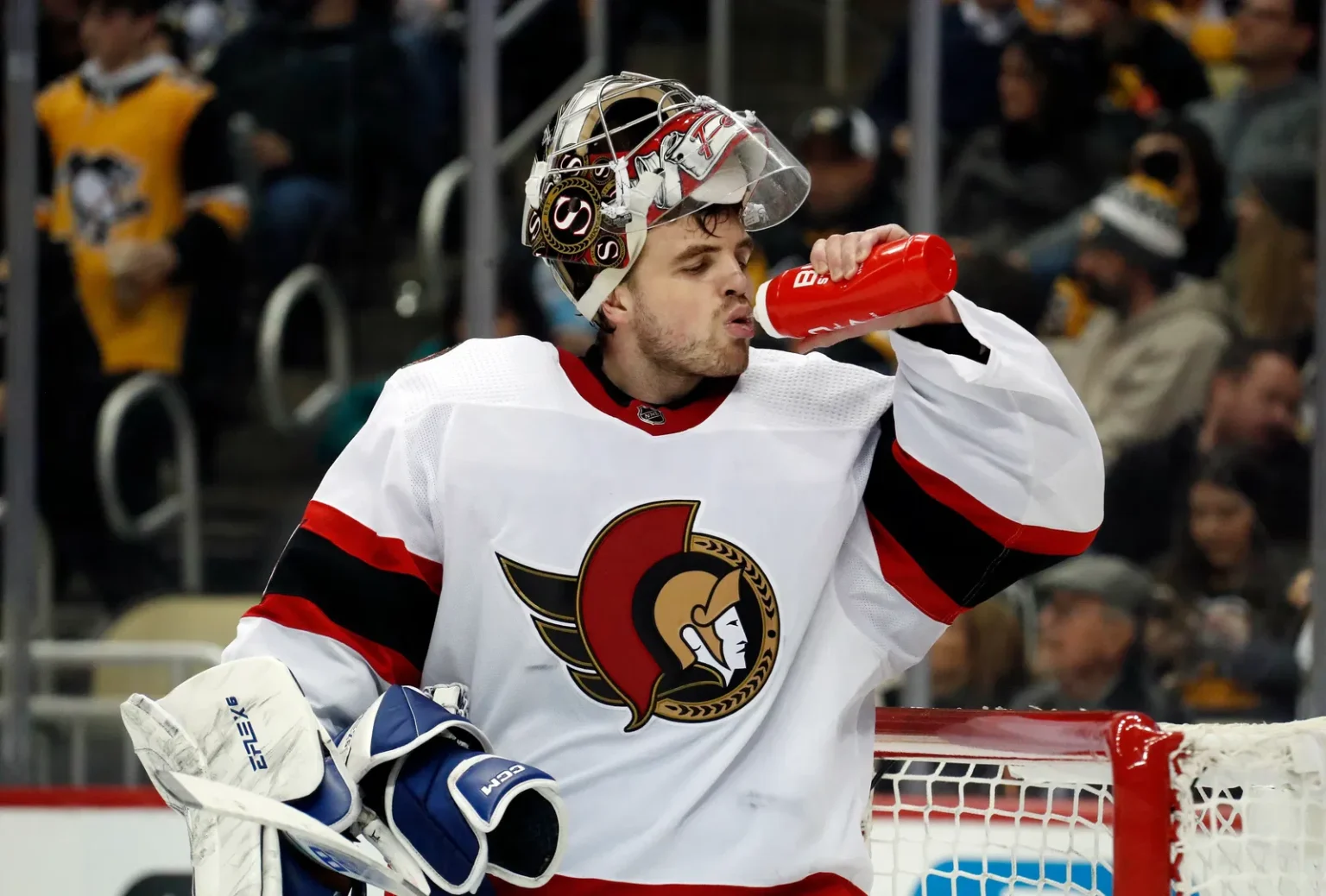 Former Knights, Sens Goalie Signs In Slovakia