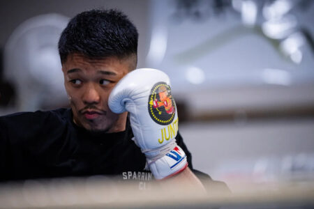 Nakatani, a rising star in the golden age of Japanese boxing, is determined to knock out Inoue