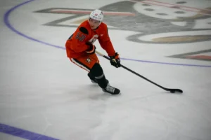 2025 Anaheim Ducks Prospect Rankings: 5. Lucas Pettersson