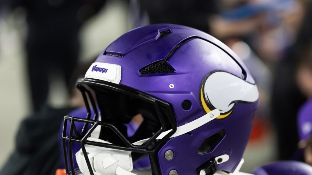 Vikings sign S Gervarrius Owens