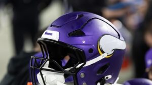 Vikings sign S Gervarrius Owens