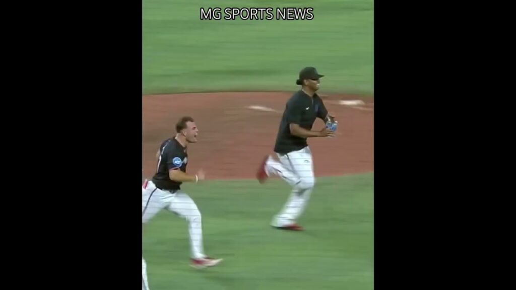 Walk off the Yankees @marlins @MLB @ESPNMLB @yankees #viral #baseball #mlbb #shorts