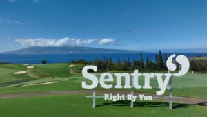 ‘Every day the golf course is dying’: Kapalua closes courses for 2 months amid water dispute