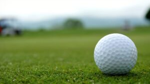 Springfield-area high school top performances, August 14-23