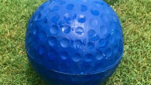 Marion Star 2025 preseason golf Player of the Year polls