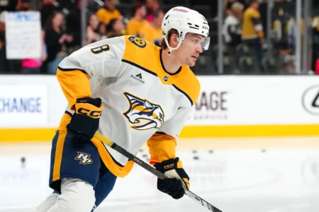 24 Nashville Predators in 24 days: Andreas Englund
