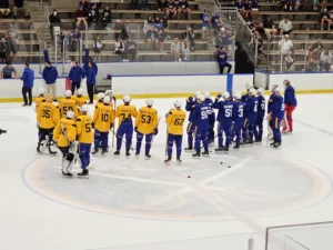 Sabres Prospect Profile – Gustav Karlsson