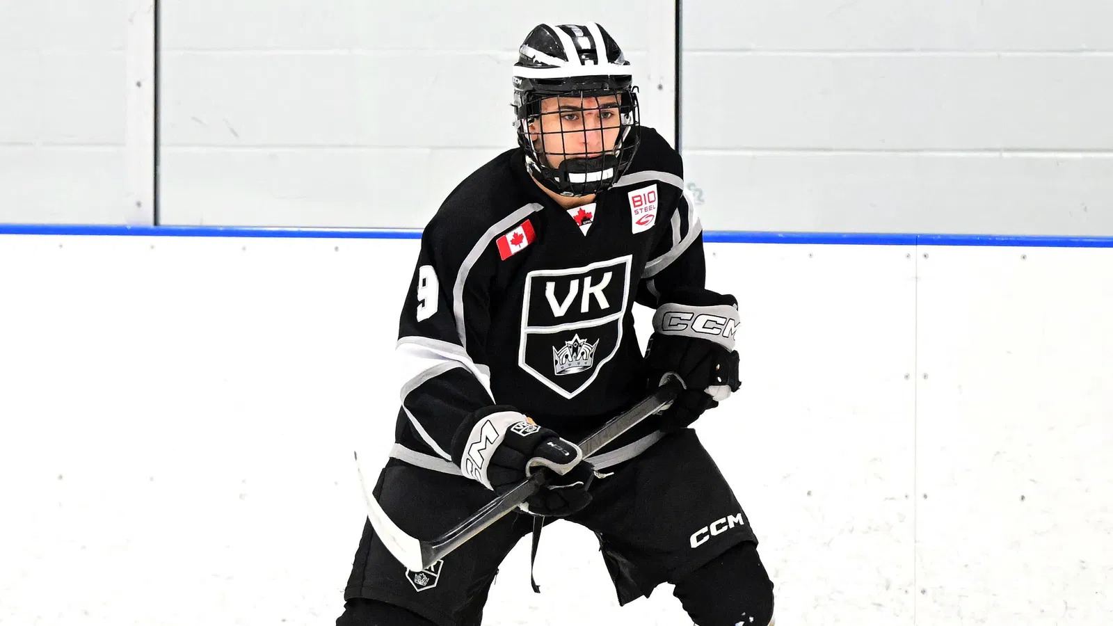 Niagara IceDogs Acquire Alex Hage, Younger Brother of Montreal Canadiens Top Prospect