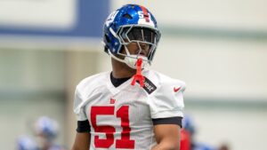 Rookie Abdul Carter impressing at Giants training camp: 'He's just a dog football player'
