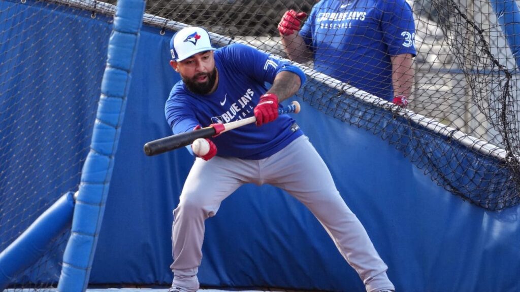 Mets signing catcher Ali Sanchez to minor league deal: report