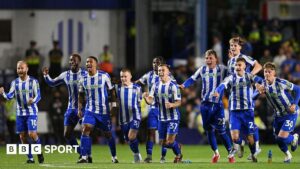 Sheffield Wednesday show ‘togetherness’ in shock Leeds win despite owner protests