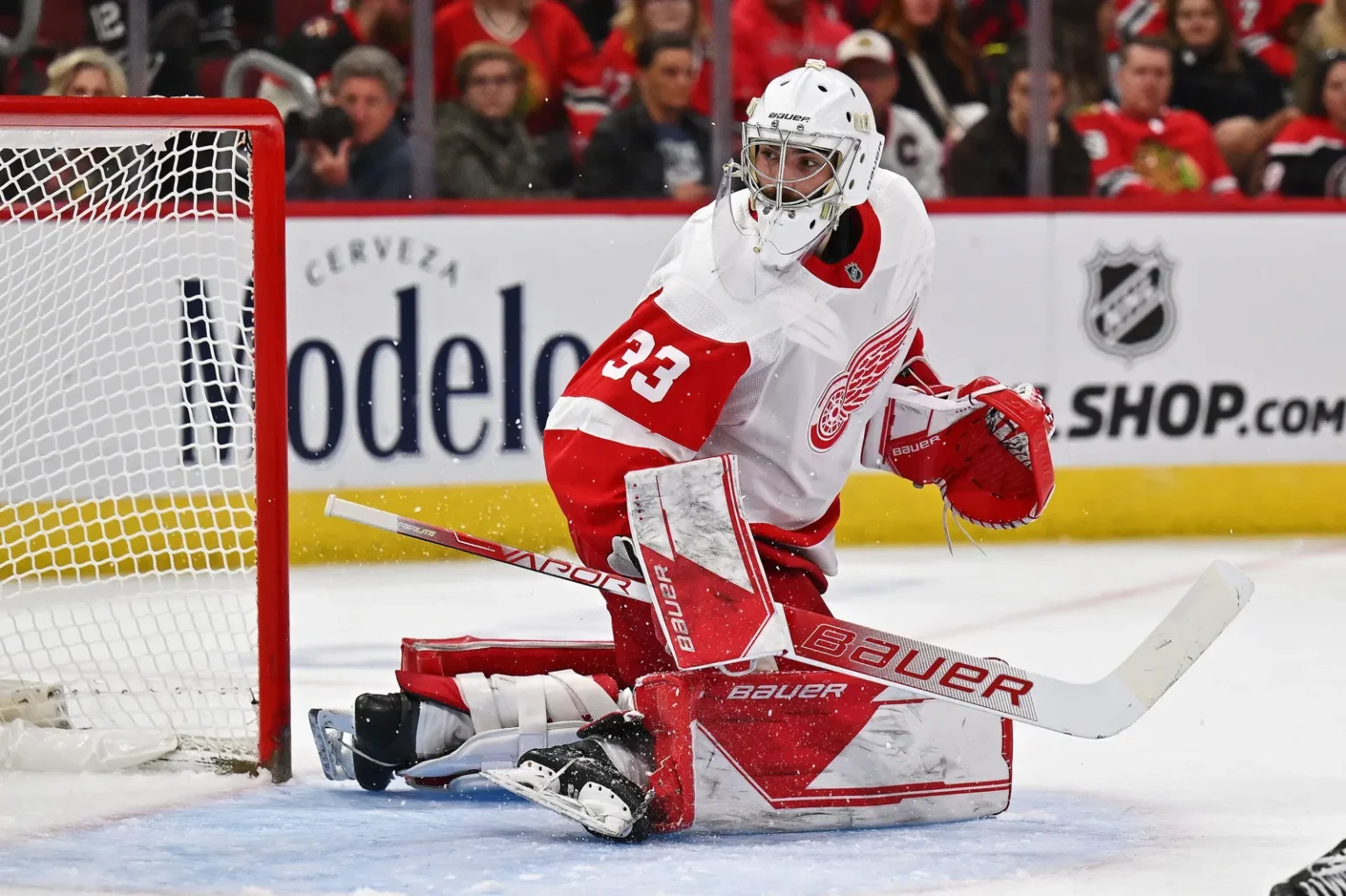 Detroit AHL Coach Says Cossa Will Be Firmly in the Mix for Red Wings Backup Role