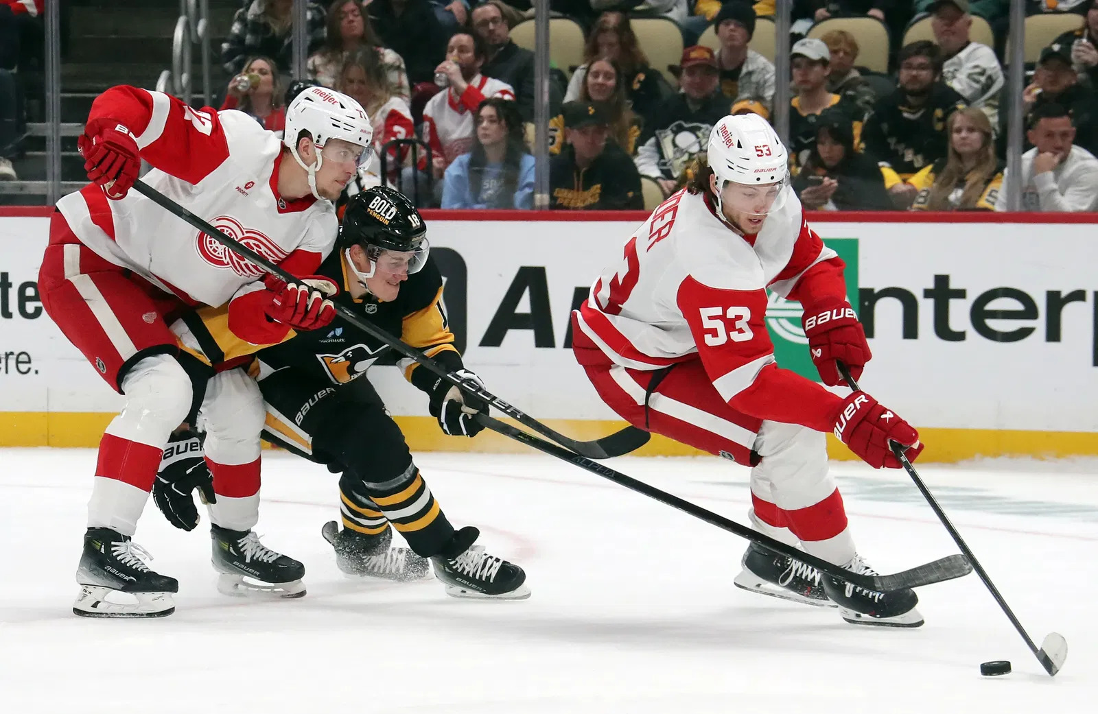 Detroit AHL Coach Believes Defence 