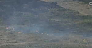 NASCAR Xfinity Series race causes grass fire at Portland, safety crew gets involved under green flag