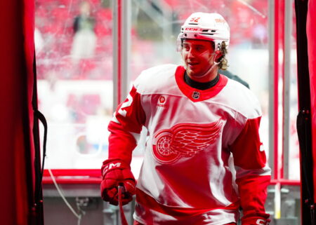 Do The Detroit Red Wings Have A Breakout Player In Waiting?