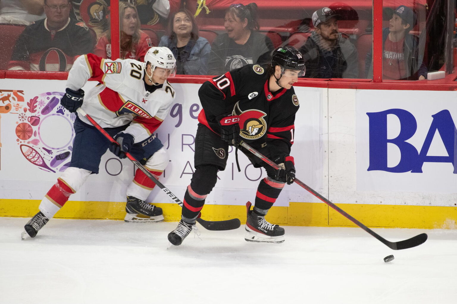 Alex Formenton’s NHL Eligibility To Be Restored On December 1st