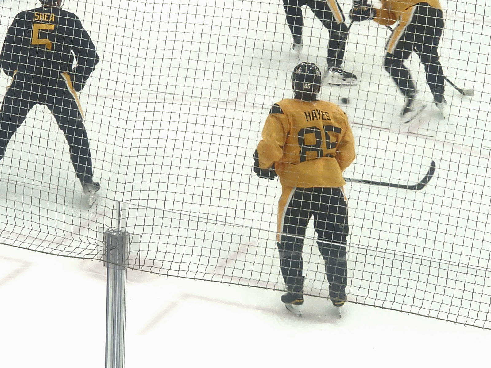 For Penguins' Prospect, Training Camp Is A Family Reunion - And An Opportunity