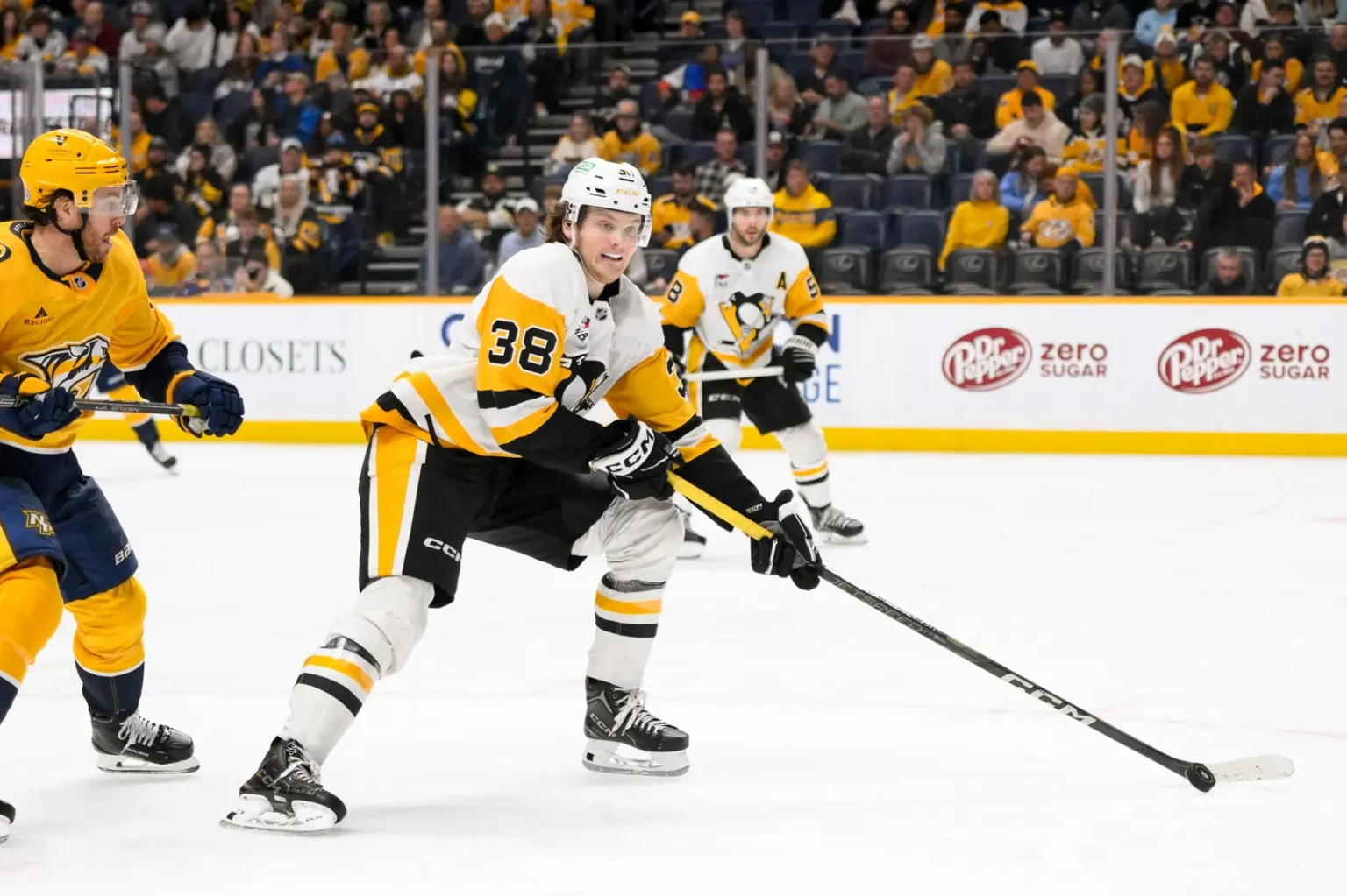Defenseman Should Be Full-Time In The NHL This Season