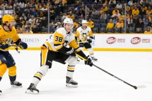 Defenseman Should Be Full-Time In The NHL This Season