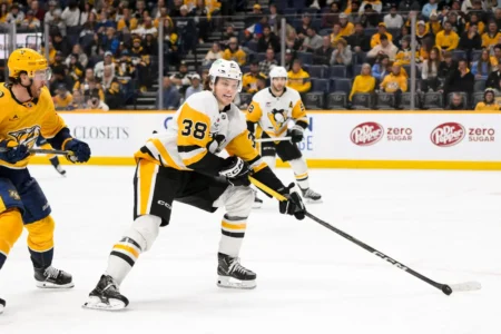 Defenseman Should Be Full-Time In The NHL This Season