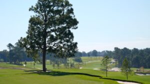 Augusta National Golf Club gives updates on The Patch, The Loop