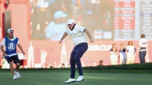 Shane Lowry has epic celebration after clinching Ryder Cup victory