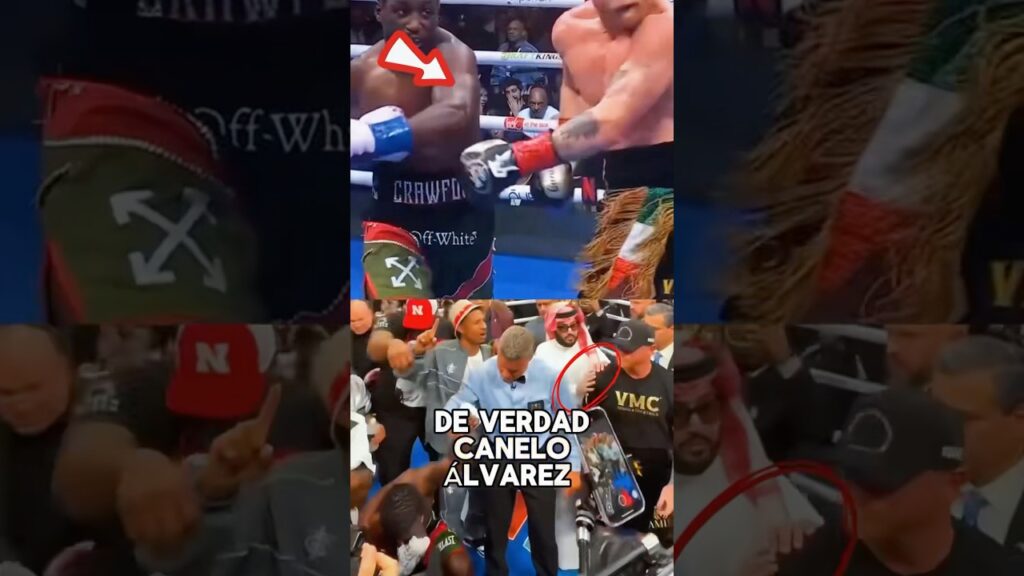 No one realized that Canelo Alvarez lost the fight intentionally #caneloalvarez #news #famous#usa#us
