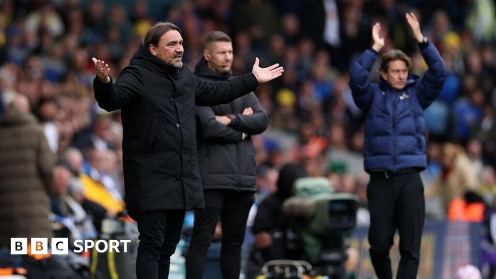 Leeds 1-2 Tottenham: What Daniel Farke said