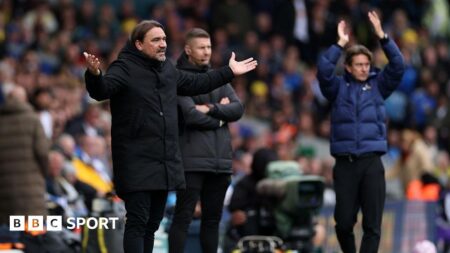 Leeds 1-2 Tottenham: What Daniel Farke said