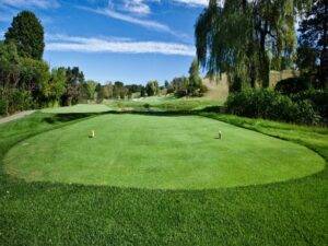 Playing the right tee box matters more than you realize—it influences how you learn