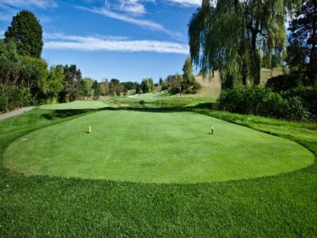 Playing the right tee box matters more than you realize—it influences how you learn