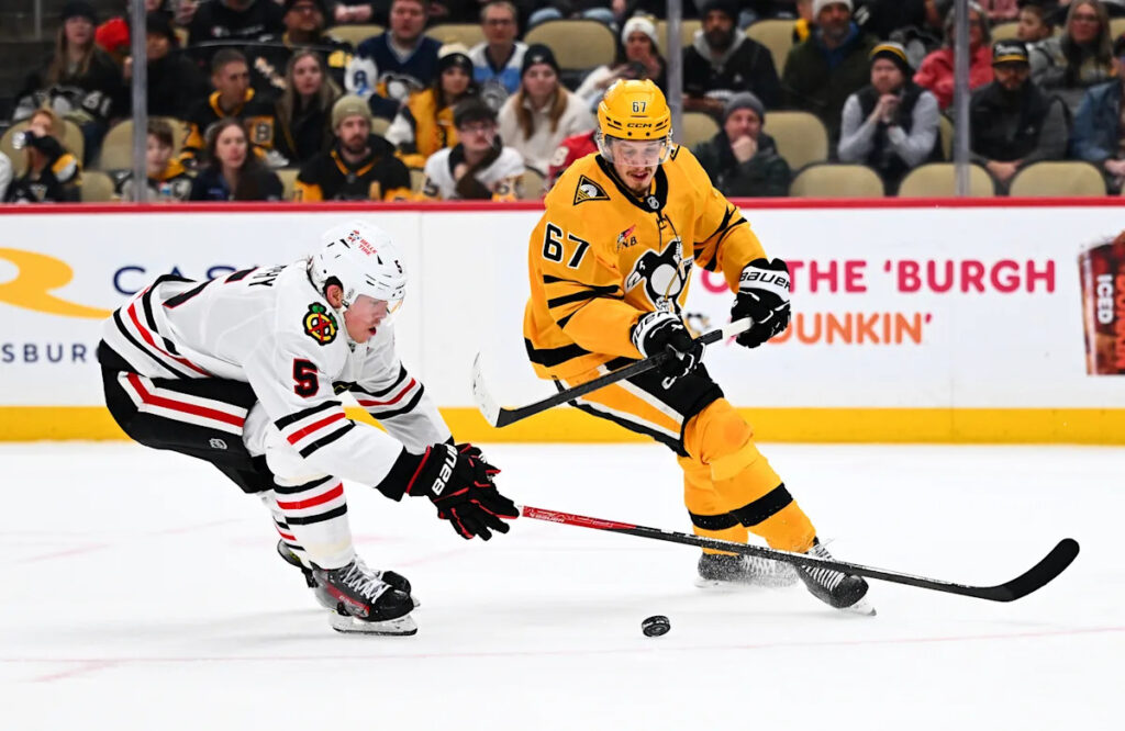 Rickard Rakell injured, Avery Hayes recalled