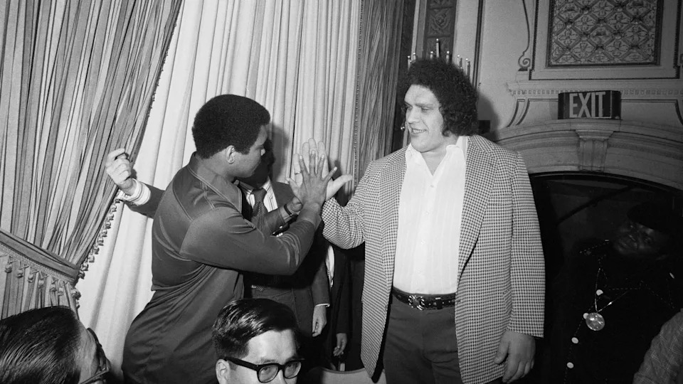 (Original Caption) Ali Meets a Giant. New York: When World Heavyweight Boxing Champion Muahmmad Ali was in New York, March 25th, 1976 to meet Japanese wrestler Antonio Inoki, whom he will meet in a boxer versus wrestler match in Tokyo, June 26th, someone caught his eye --- it was seven-foot-four Andre, the Giant, a wrestler from France and friend of Inoki. The towering Asdre became the object of Ali's attention after he was through trading barbs with Inoki. Ali, so taken in by the man who made him look diminutive by comparison, literally bowed to Andre and then matched his hand against Andre's massive palm. All later placed 