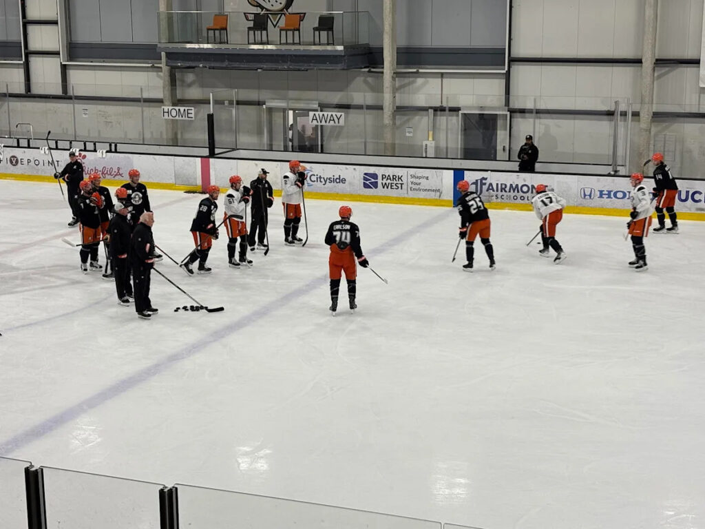 Anaheim Ducks Injury Updates: Carlson, Terry