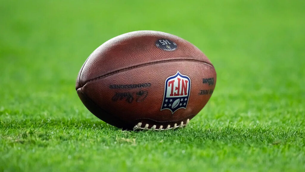 NFL blames replacement officials plan on NFL Referees Association