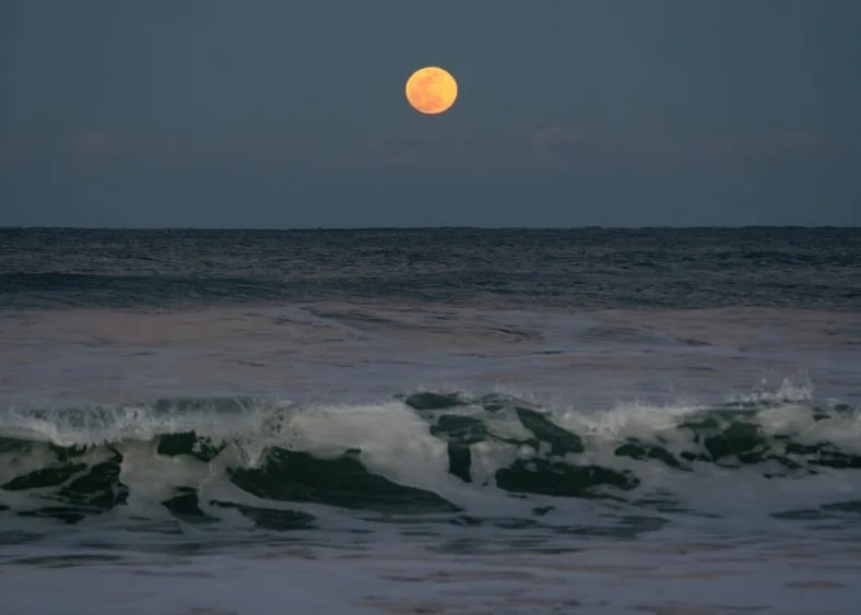 Kyle Busch Winless Streak